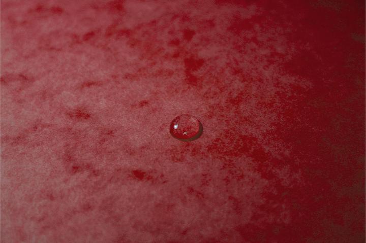 Image du produit Exacompta Chemises à élastiques (A4, 17x)