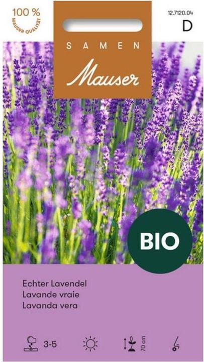 Produktbild Samen Mauser BIO Echter Lavendel (Kräutersamen)