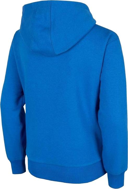 Produktbild 4F Player HJZ2 JBLM006 Kapuzenpullover Jungen (134, 146)