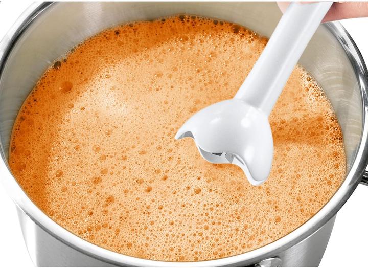 Actual product image Bosch Hausgeräte MSM6B150 Stabmixer mit Mixbecher