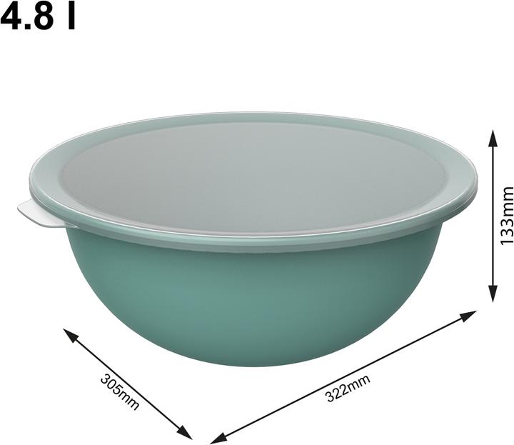 Immagine prodotto Rotho Ciotola Caruba 30.5 cm, Verde (30.50 cm, 4.80 l, 1 x)