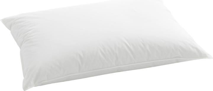 Image du produit Billerbeck Duplo Deep 150 (50 x 70 cm)