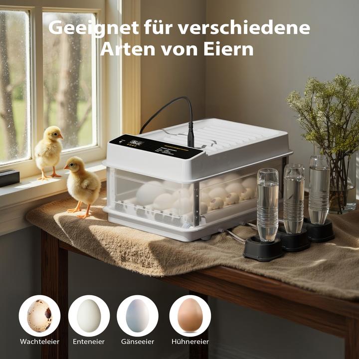 Produktbild Fudajo Eier Inkubator