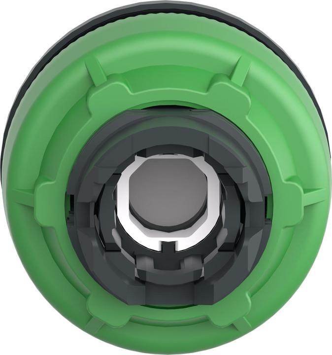 Actual product image Schneider Electric Flush Blue Ill Pushbutton Head