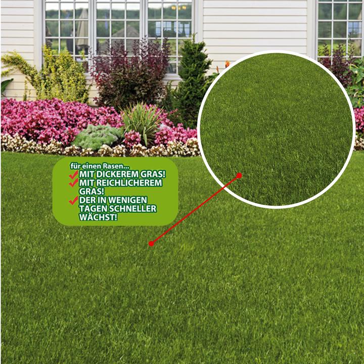 Actual product image Best direct Avant Grazz (Lawn reseed)