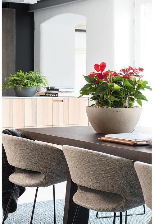 Actual product image Lechuza Cubeto Color (30 cm)