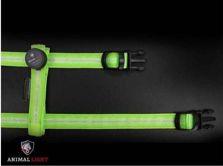 Actual product image Animal Light Glow (M, Dog, General)