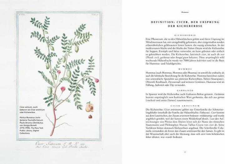 Immagine prodotto Auf den Spuren des Hummus (Tedesco, Ariel Rosenthal, Dan Alexander, Orly Peli Bronshtein, 2023)