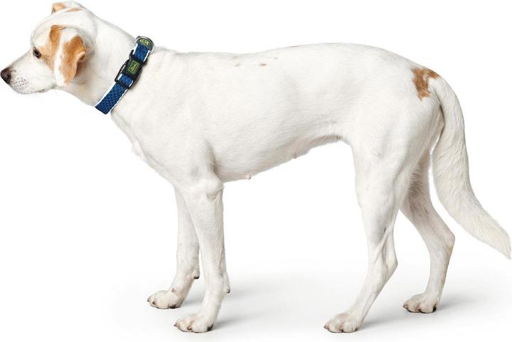Produktbild Hunter Hundehalsband Hilo Vario Basic (S, M, Hund, Allgemein)