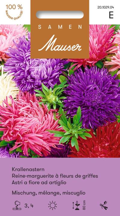 Image du produit Samen Mauser Aster à griffes mélange (Graines de fleurs)