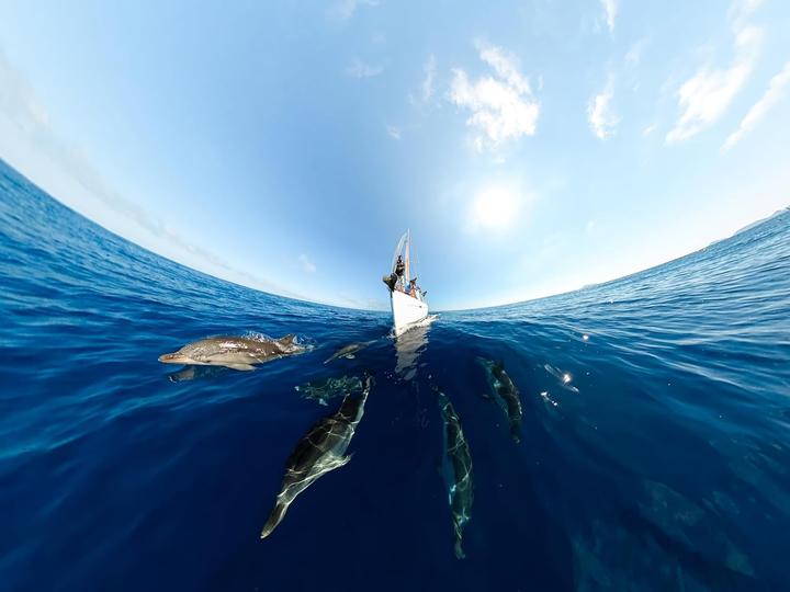 Produktbild GoPro MAX 360 (2025) (30p, WLAN, Bluetooth, GPS)