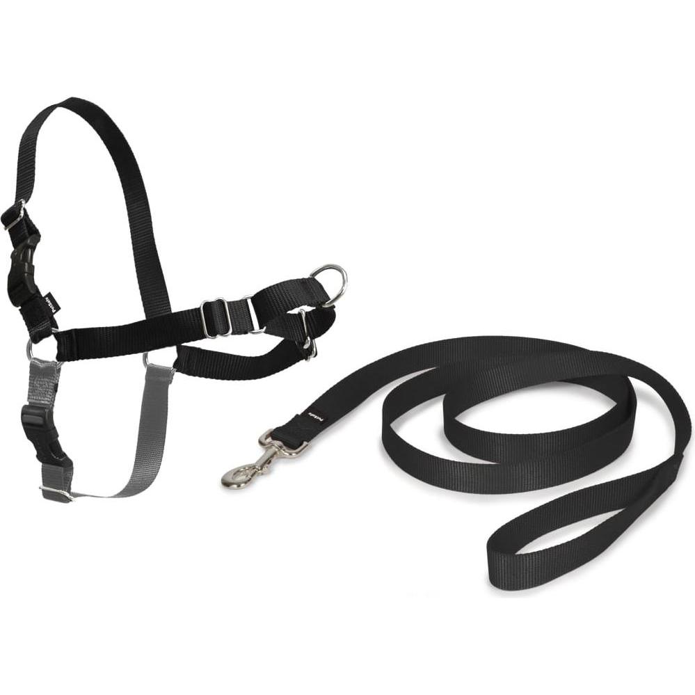PetSafe Easy Walk (S, Hund, Spazieren), Halsband + Leine