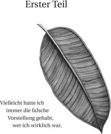Produktbild Die unerklärliche Logik meines Lebens (Deutsch, Benjamin Alire Sáenz, 2017)