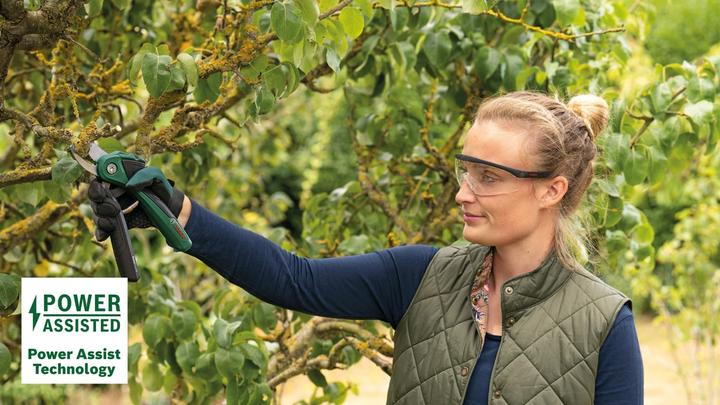 Productafbeelding Bosch Home & Garden Accu-tuinschaar EasyPrune