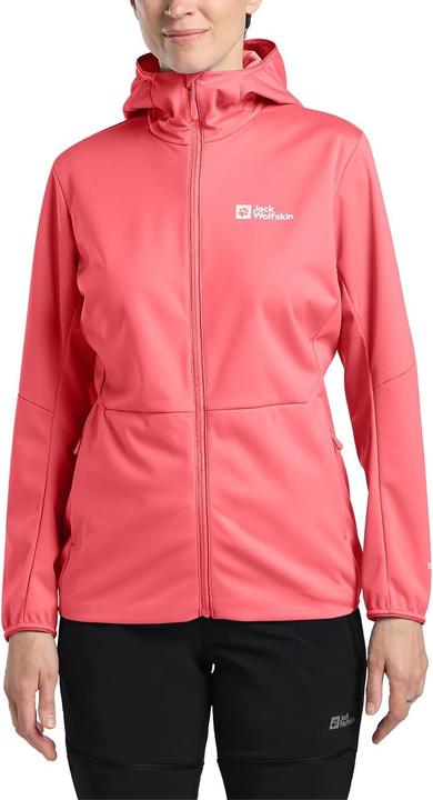 Immagine prodotto Jack Wolfskin Feldberg Hoody W (M)