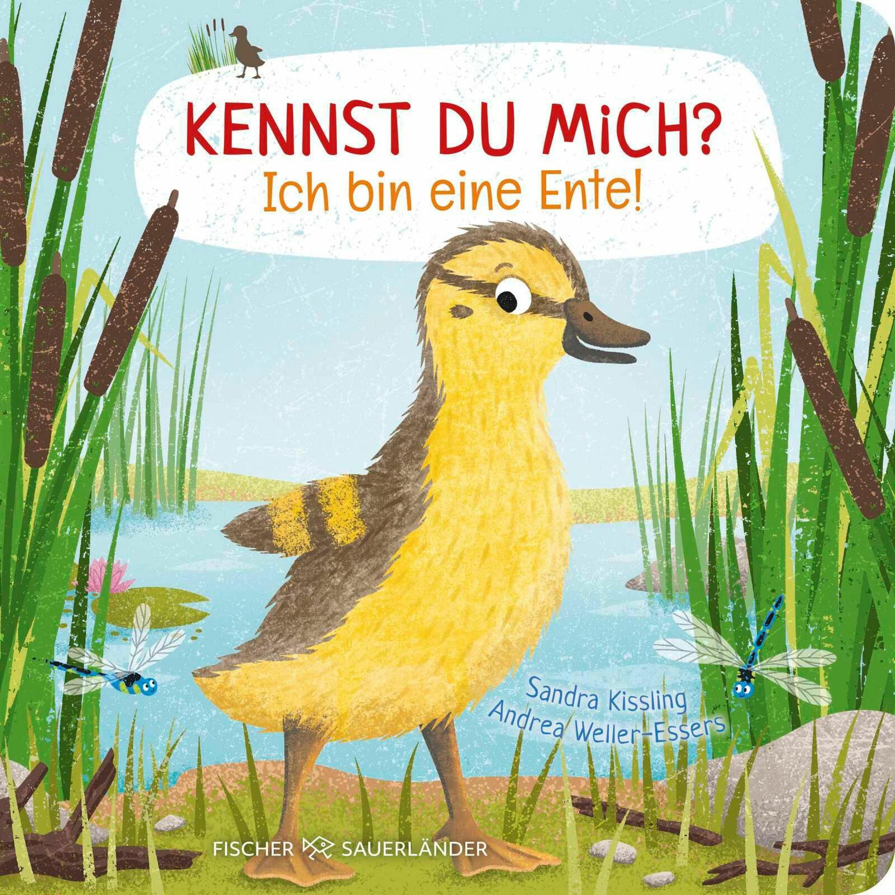 S. Fischer Publishing, Babybücher, Kennst du mich? Ich bin eine Ente! (Deutsch)
