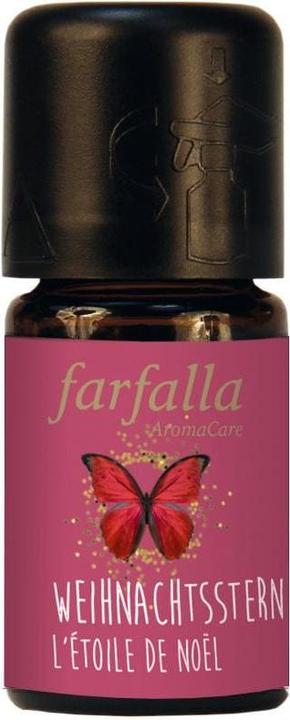 Image du produit Farfalla Weihnachtsstern