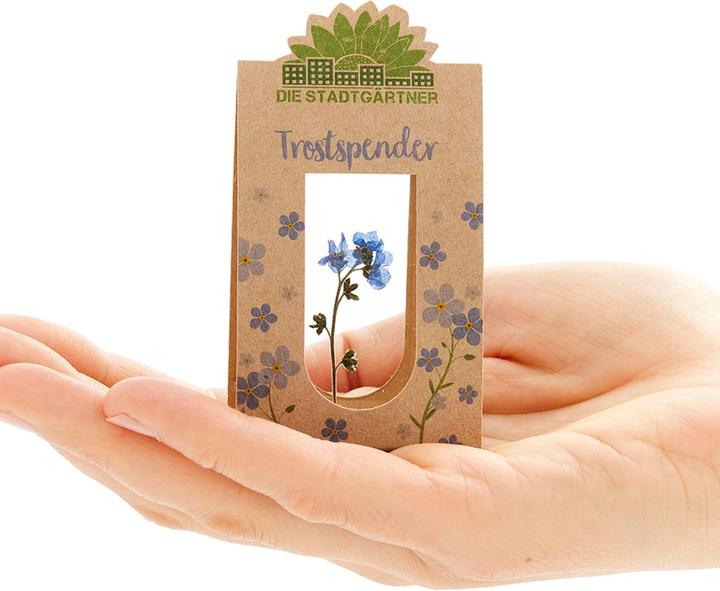 Produktbild Die Stadtgärtner Trostspender (Trockenblumen)