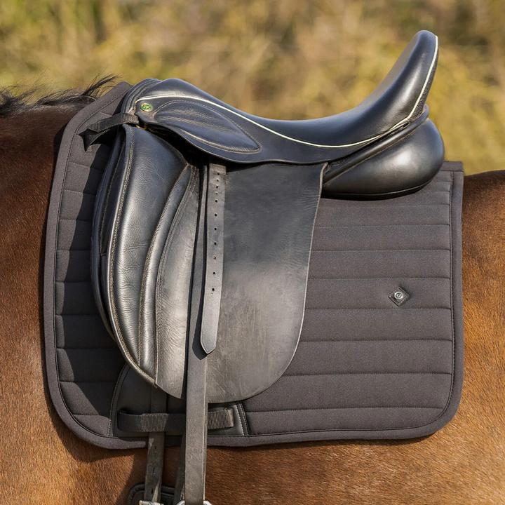 Actual product image Qhp Salerno