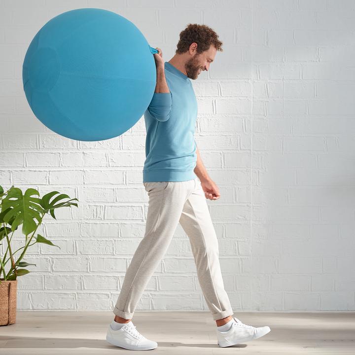 Productafbeelding Leitz Ergo Cosy zitbal (65 cm)
