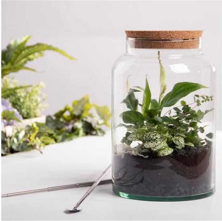 Image du produit Esschert Design Bouteille semi-ouverte pour terrarium M