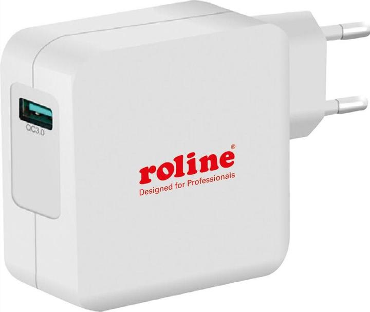 Actual product image Roline 19111024 (24 W)
