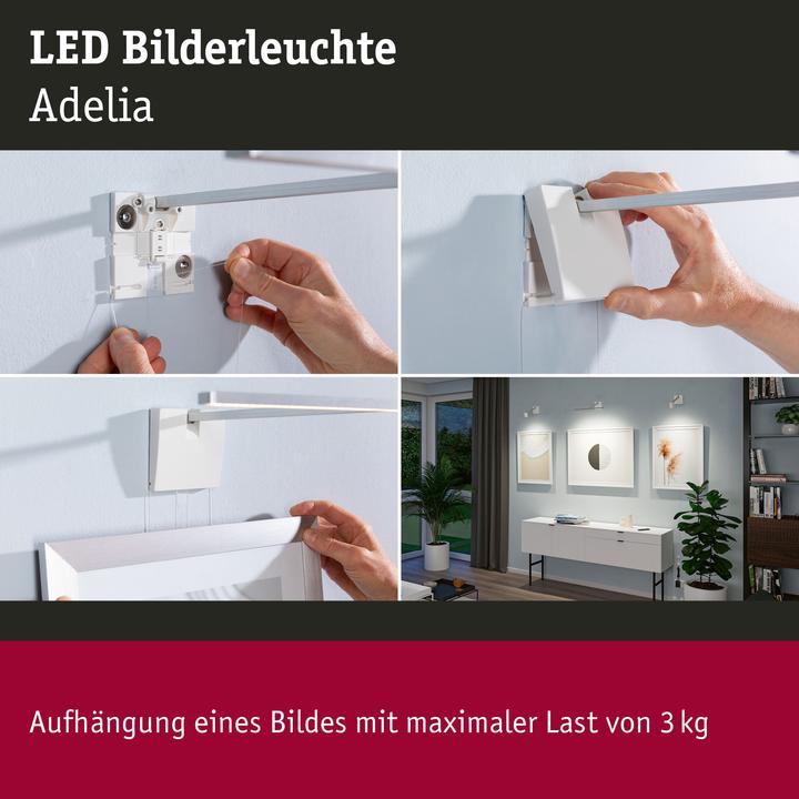 Actual product image Paulmann PAUL LED picture light set (370 lm)