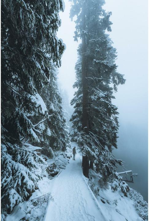 Actual product image Sigma 14-24mm F2.8 DG DN, Sony E (Sony E, full size)