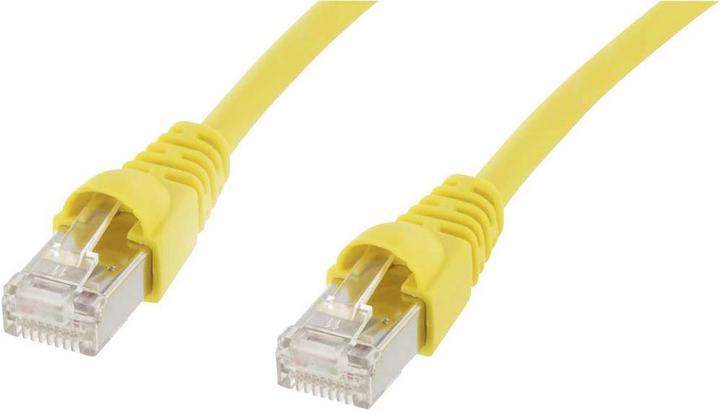 Produktbild Telegärtner Netzwerkkabel, Patchkabel Netzwerkkabel 6A S/FTP (S/FTP, CAT6a, 10 m)