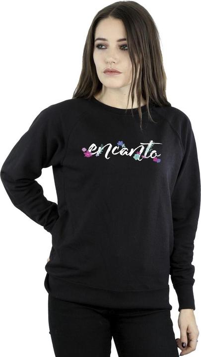 Produktbild Disney Encanto Logo Sweatshirt (XXL)