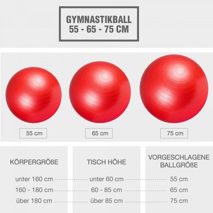 Actual product image Gorilla Sports Gymnastikball 355 (65 cm)