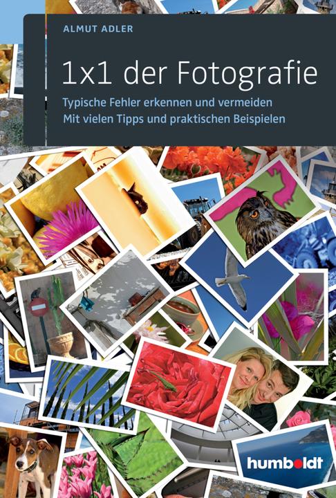 Produktbild 1 x 1 der Fotografie (Deutsch, Almut Adler, 2015)