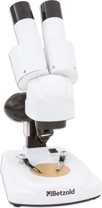 Actual product image Betzold Stereo microscope for beginners