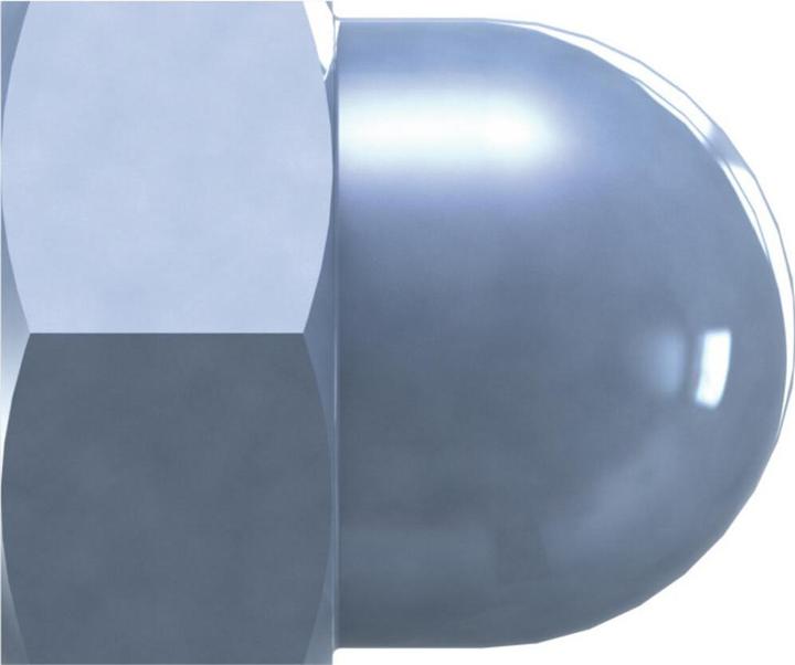 Reisser Cap nut, DIN 1587, hexagonal, M 10, steel, galvanised, blue passivated, packed a 50 (M10)