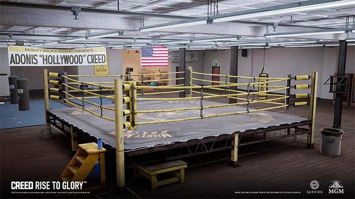 Image du produit Sony Creed : Rise to Glory (VR) -US- (PS4, EN)