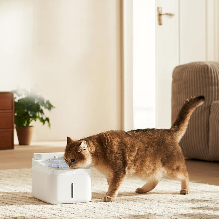 Immagine prodotto Xiaomi Fontana intelligente per animali domestici 2 (3 l)