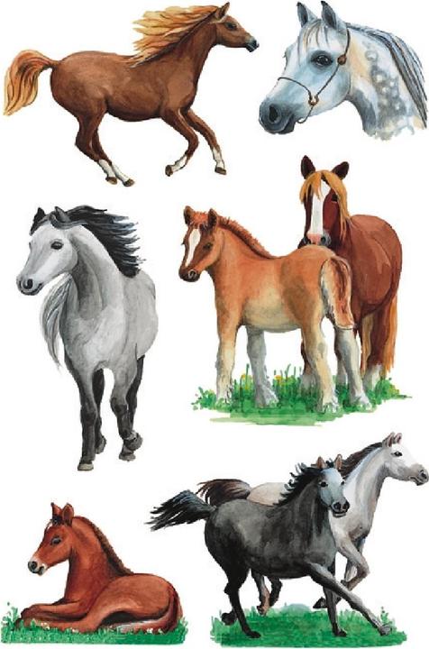 HERMA Sticker Pferde