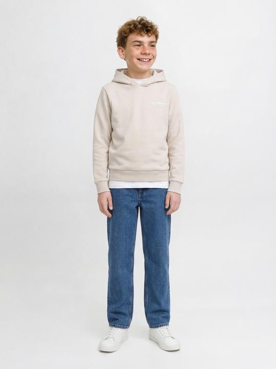 Produktbild Jack & Jones Jrebzack Sweat Hood Noos Jnr (152)