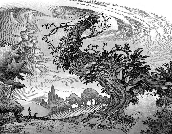 Produktbild Fairy Tale (DE)