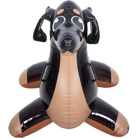 Jilong Dachshund