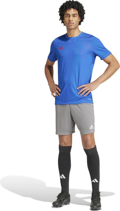 Immagine prodotto adidas CAMICIA REV 24 (L)