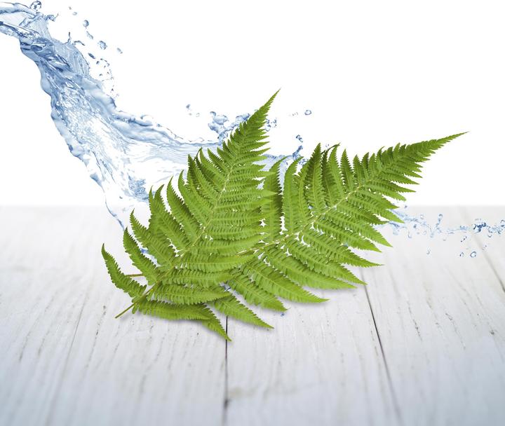 Produktbild Air Wick Himmelsfrische