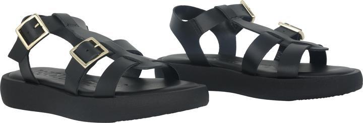 Actual product image Wonders Luz (39)