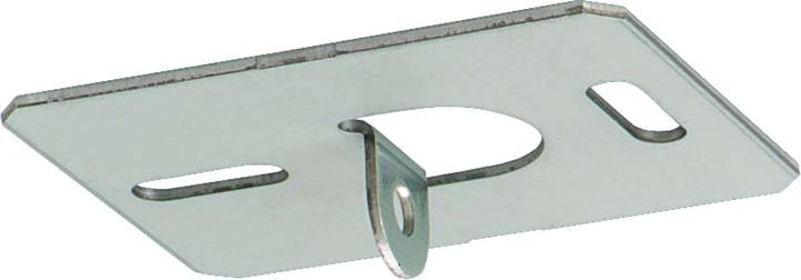 Actual product image Ridi Ceiling mounting plate