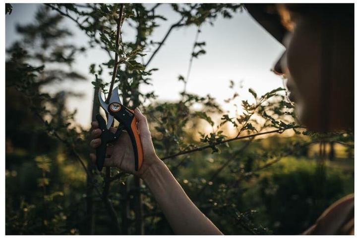 Image du produit Fiskars Plus PowerLever Bypass Secateurs P721