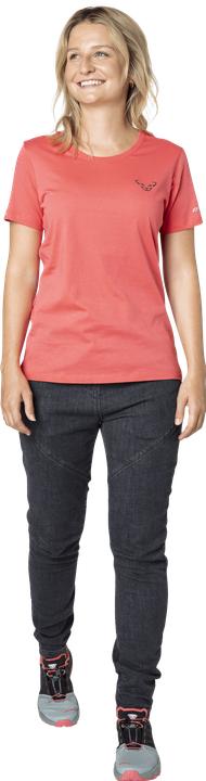 Immagine prodotto Dynafit 24/7 Graphic T-Shirt (S)