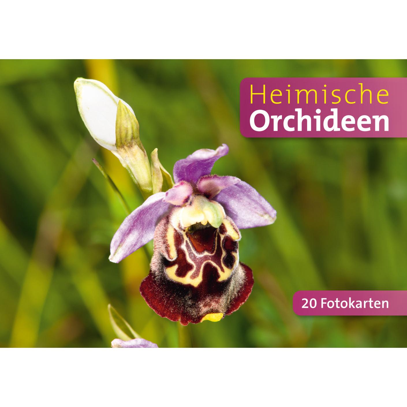 Thumbnail - Heimische Orchideen, Sachbücher von Quelle & Meyer Verlag