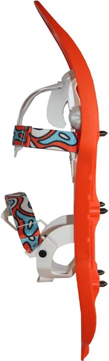 Immagine prodotto Tsl 302 Congelamento (19.09")