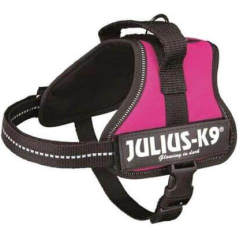 Thumbnail - Julius-K9 K9 IDC POWERGESCH GR 1 ROSA 63 (1, Hund, Allgemein), Halsband + Leine