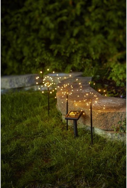 Image du produit Star Trading Firework (IP44)